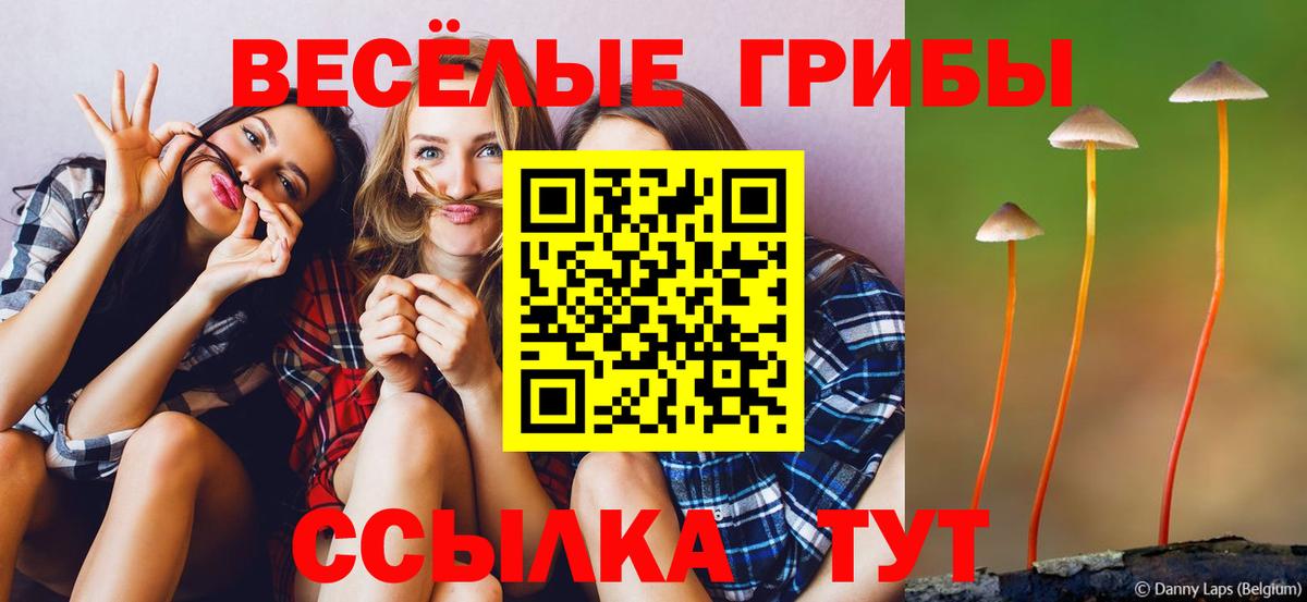 Соль-Илецк  Галлюциногенные грибы Psilocybine cubensis  Вход с VPN 